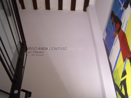 Museo Casa Pintada 2004